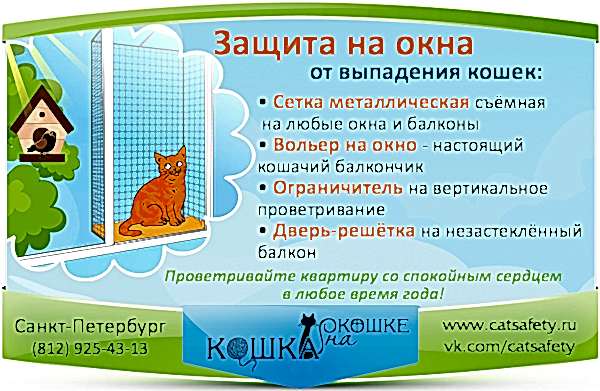 koshka-na-okoshke-zashhita