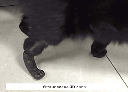 kutuzov-5