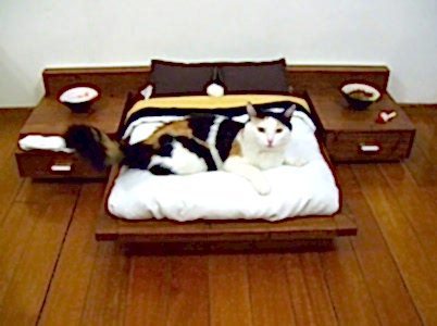 1407612937_cat-furniture-111
