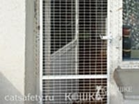 IMG_9959