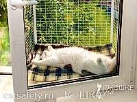 антикошка вольер