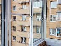антикошка-на-раздвижной-балкон