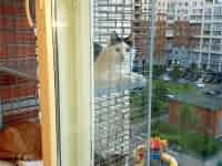 Балкон для кота