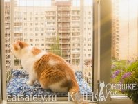 вольер на окно