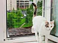 Выгул вольер на окно WalkCat