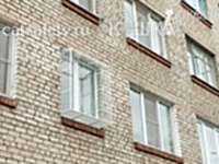 Выгул для котёнка