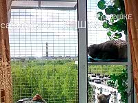 кошачий-выгул-на-окно