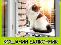 обложка-товара-съёмный